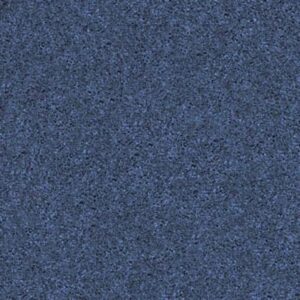 QUIET COMFORT CLASSIC IV by Shaw Floors - True Blue