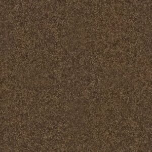 QUIET COMFORT II by Shaw Floors - Bison