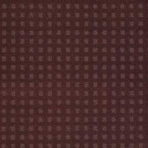 THE FAIR by Shaw Floors - Wisteria