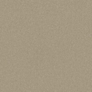 WELL PLAYED I 15' by Shaw Floors - Agate