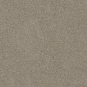 SALINA I by Shaw Floors - Valley Mist