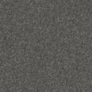 QUIET COMFORT CLASSIC I by Shaw Floors - Onyx