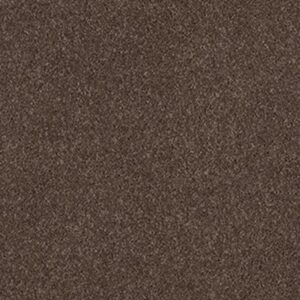QUIET COMFORT CLASSIC I by Shaw Floors - Spring - Wood