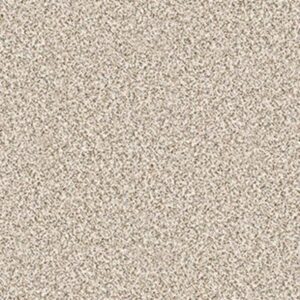 DELICATE DISTINCTION CLASSIC II by Shaw Floors - Cricket Club