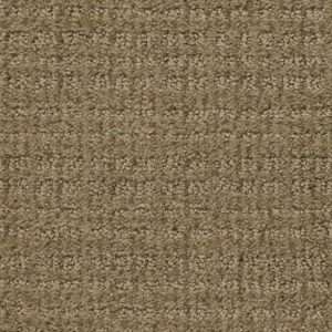 SENSIBLE NOW by Shaw Floors - Summerville