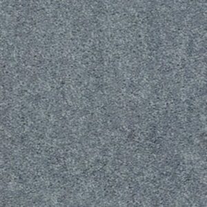 NEWBERN CLASSIC 15' by Shaw Floors - Castle Grey