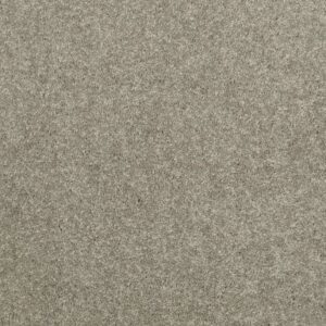 NEWBERN CLASSIC 15' by Shaw Floors - Suede