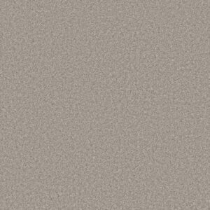 JUST A HINT II by Shaw Floors - Flax