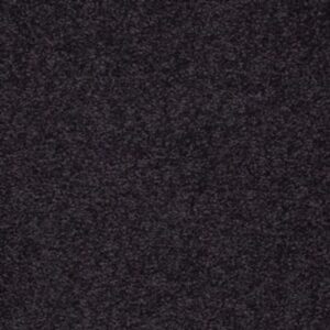 SANDY HOLLOW I 15' by Shaw Floors - Graphite