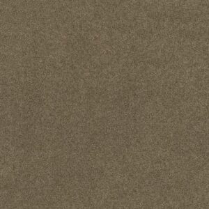 EMBARK by Shaw Floors - Townhouse