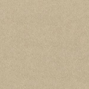 EMBARK by Shaw Floors - Linen