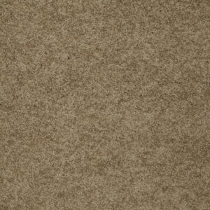 INSPIRED BY I by Shaw Floors - Twig