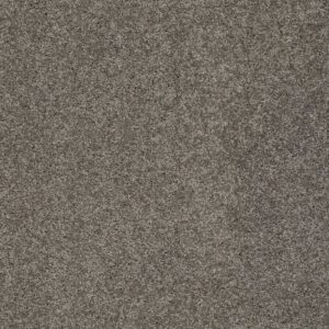 INSPIRED BY II by Shaw Floors - Rustic Elegance