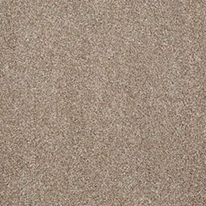 BEAUTIFULLY SIMPLE by Shaw Floors - Mole Hill