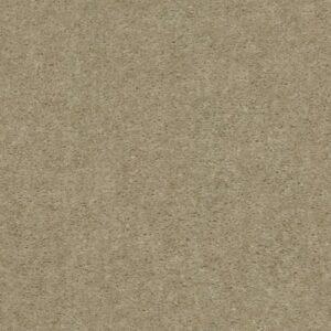 THIS IS IT PLUS by Shaw Floors - Desert Breeze