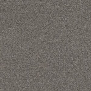 RIGHT CHOICE by Shaw Floors - Dovetail