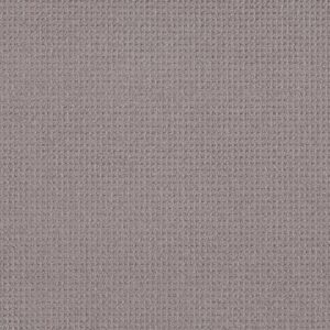 FAINT INTENT by Shaw Floors - Grey Fox