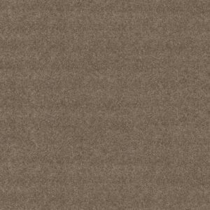 BOUNDLESS II by Shaw Floors - Treasure Trove