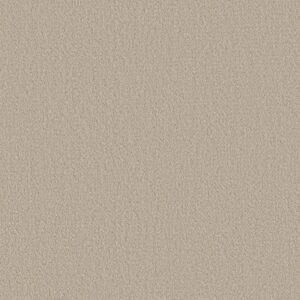 FINE TAPESTRY by Shaw Floors - Sandstone