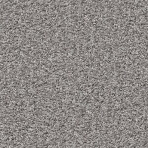 VALIANT by Shaw Floors - Himalayan Trek