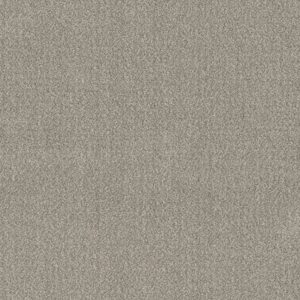 TRANSLATE by Shaw Floors - Fossil