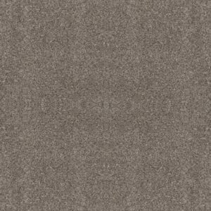 CALM SIMPLICITY II by Shaw Floors - Kidskin