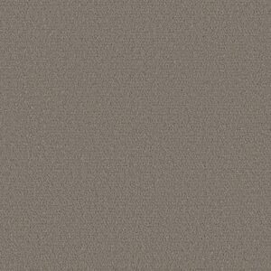 INTRICATE TRACE by Shaw Floors - Ashes