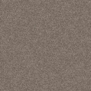 YES YOU CAN I 15' by Shaw Floors - Soft Sense