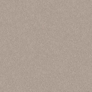 LIVE ON COMFORT by Shaw Floors - Warm Sand