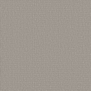 PATH HOME by Shaw Floors - Gravity