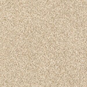 DELICATE DISTINCTION CLASSIC I by Shaw Floors - Toasted Grain