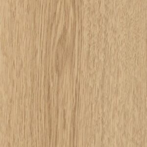 Endura Plus by Shaw Floors - Castaway