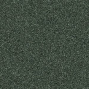 ALL STAR WEEKEND I 12' by Shaw Floors - Going Green