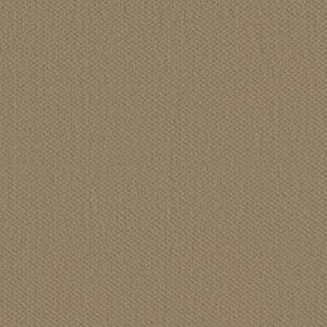 GENESIS by Shaw Floors - Mushroom