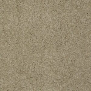 LOYAL BEAUTY I by Shaw Floors - Clay Stone