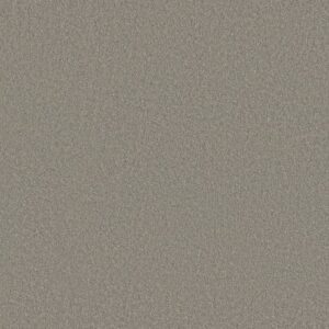 CASHMERE CLASSIC III by Shaw Floors - Birch Bark