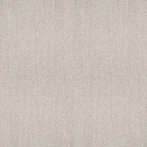 OMBRE WHISPER by Shaw Floors - Meditative