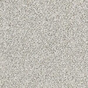 FIND YOUR COMFORT TA II by Shaw Floors - I'M Freezing (A