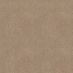 OCEAN VIEW by Shaw Floors - Wicker