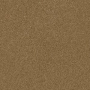 DREAMS I by Shaw Floors - Tiger Eye