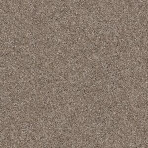 YES YOU CAN III 15' by Shaw Floors - Cameo