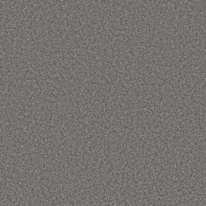 ARTISTIC FUSION II by Shaw Floors - Ocean