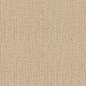 TRADITIONAL ELEGANCE by Shaw Floors - Custard