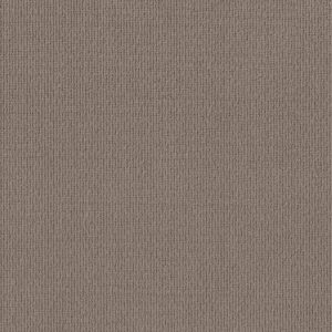 FEISTY NET by Shaw Floors - Branch