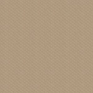 PADOVA by Shaw Floors - Dunes