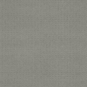 MODESTA by Shaw Floors - Retreat