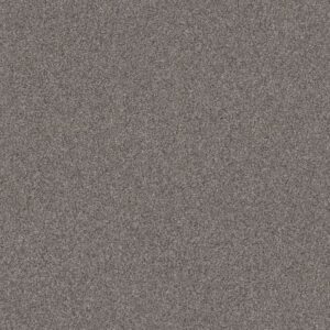 INFLUENCER by Shaw Floors - River Run