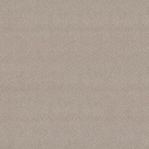 CHIC SHADES by Shaw Floors - Fossil Path