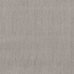 CHIC NUANCE by Shaw Floors - Silver Lining