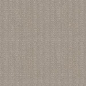 ESSENTIAL NOW by Shaw Floors - Newstone Haven